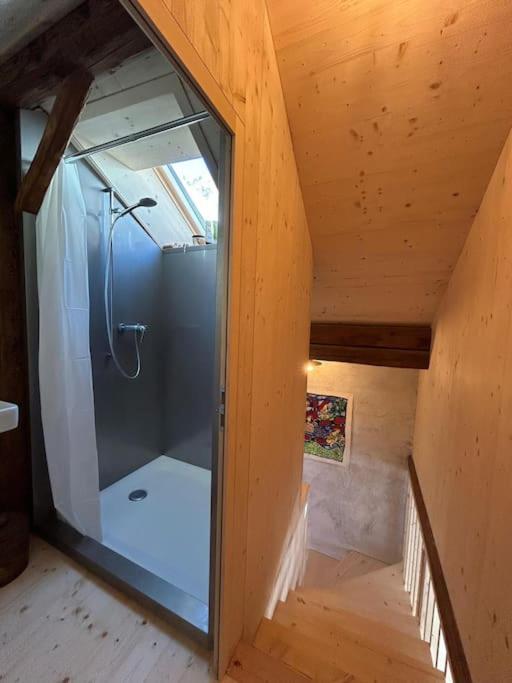 Chalet Bijoux In The Swiss Mountains Vna